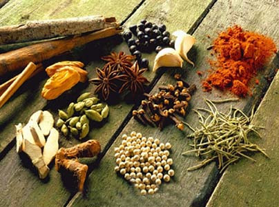 indian spices