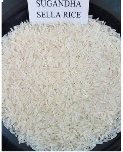 Organic Sugandha Sella Rice, for Human Consumption, Color : White