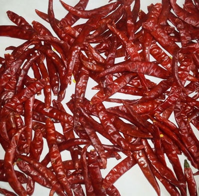 Endo 5 Dry Red Chilli, Length : 10-12 Max