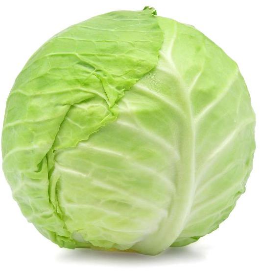 Organic Fresh Cabbage, Color : Green