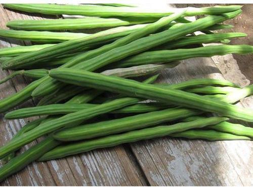 Organic Fresh Drumsticks, for Cooking, Style : Natural