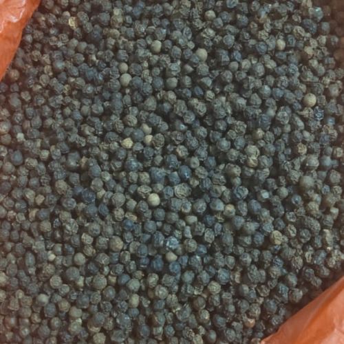 Black pepper seeds, Packaging Type : Gunny Bag, Plastic Pouch