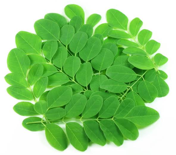 Organic drumstick leaves, Color : Green