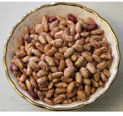 Organic Red Kidney Beans, Feature : Full Of Proteins