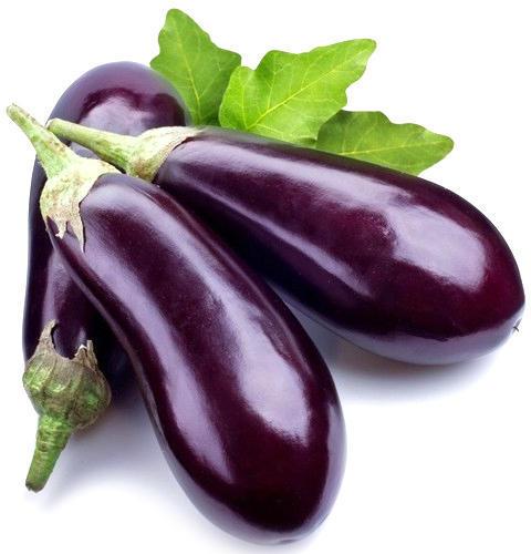 fresh brinjal