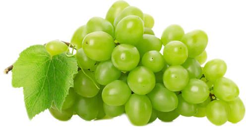 Fresh Grapes