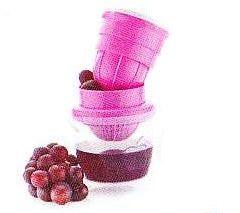Small Fruit Juicer