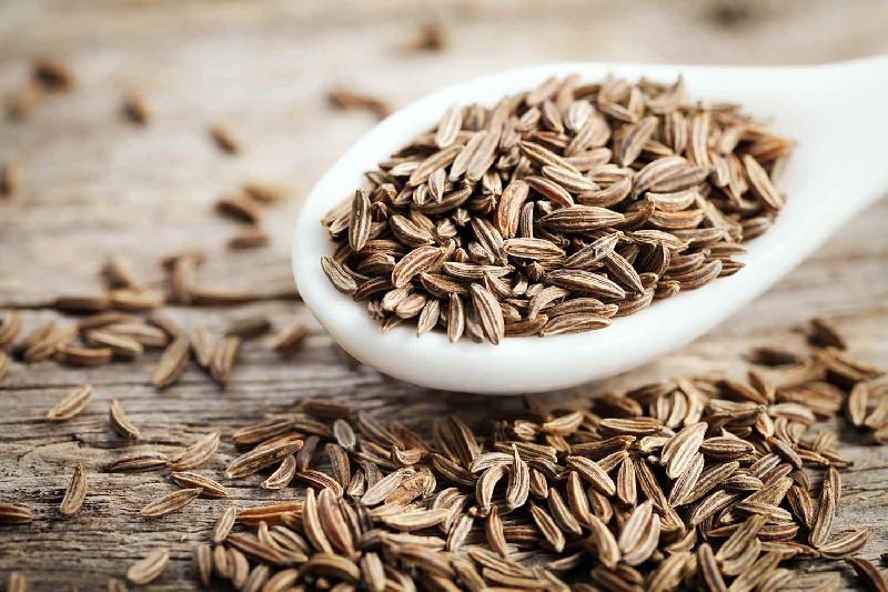 Dried Cumin Seeds, for Cooking, Human Consumption, Feature : Improves Acidity Problem, Improves Digestion