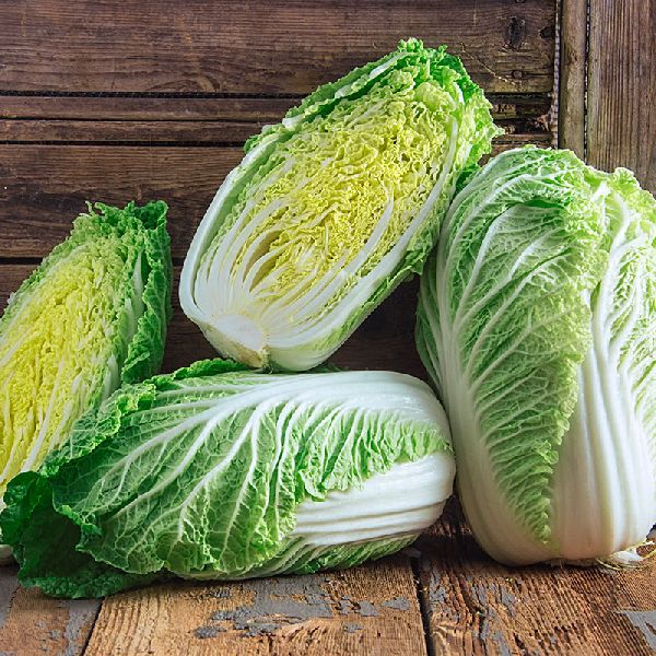 Common Fresh Cabbage