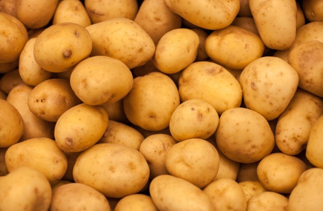 Common fresh potato, Feature : Floury Texture, Good In Taste