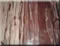 Chitu Chocolate Sandstone, Form : Slabs (Random), Tiles