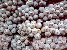 Common black grapes, Certification : APEDA