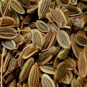 Dill Seed Oil