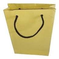 Eco Friendly Paper Carry Bag