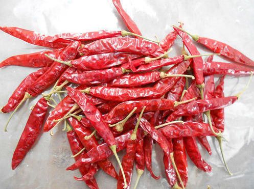 Organic Indian Dried Red Chilli, Packaging Type : Plastic Packet