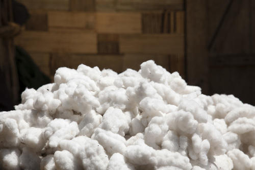 Indian Raw Cotton, for Yarn, Feature : High Quality, Soft