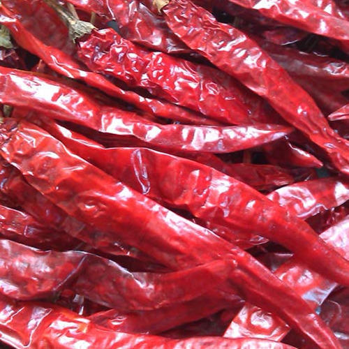 Organic Long Dried Red Chilli, Packaging Type : Gunny Bags