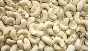 Plain Cashew Nuts, for Food, Sweets, Packaging Type : Pouch, Sachet Bag