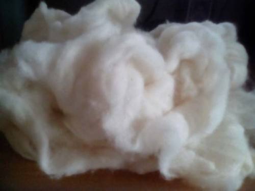Washable Raw Cotton