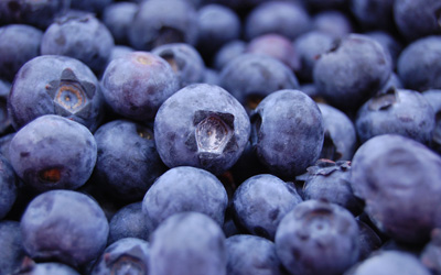 Organic Frozen Blueberry, for Face Wash, Making Juice, Powder, Shampoo