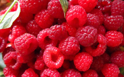 Organic 50 kg frozen raspberry, Taste : Original taste