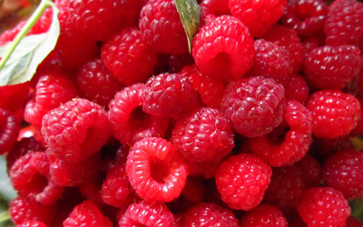 frozen raspberry