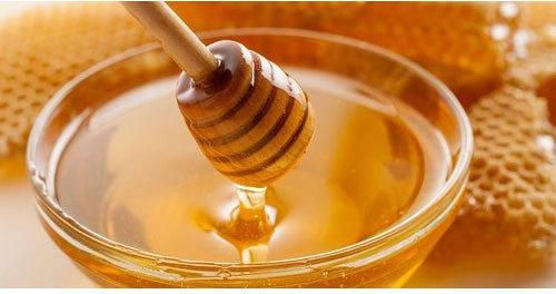 Fresh Honey, Grade Standard : Food Grade