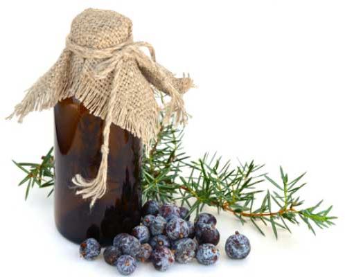 Juniper Berry Essential Oil