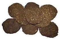 Cow Dung Dried Cakes