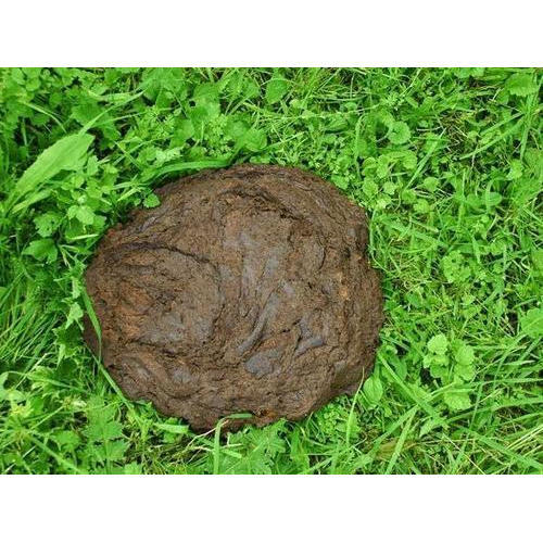 Fuel Cow Dung Cake