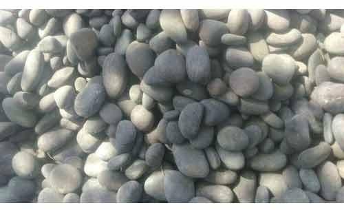 Off White River Pebble Stones, for Countertops, Walls Flooring, Pattern : Plain