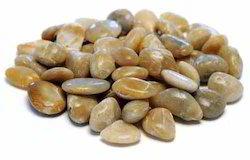 Polished Yellow River Pebble Stones, for Countertops, Walls Flooring, Pattern : Plain