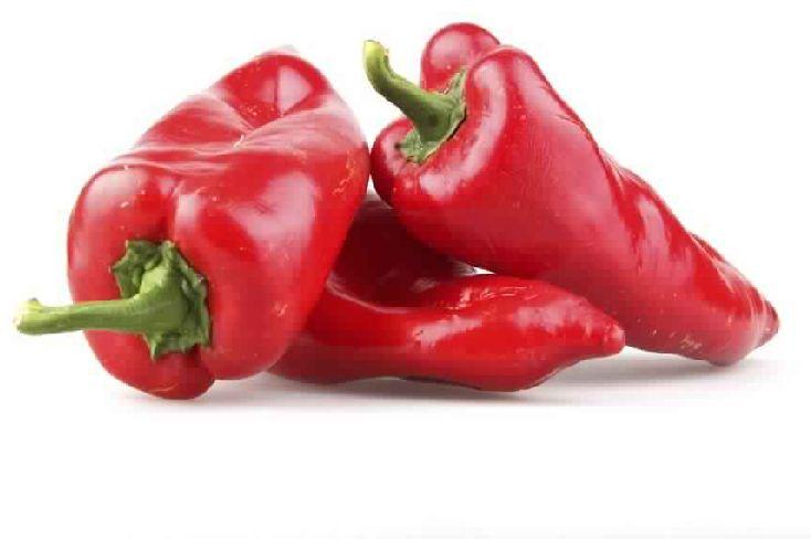 Capsicum Oleoresin, Color : Red