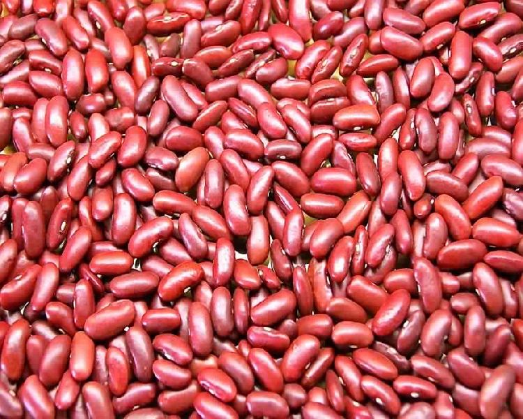 red kidney bean