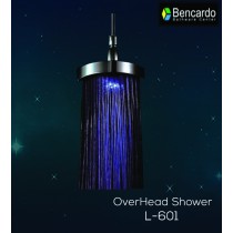 8 Inch LED Shower