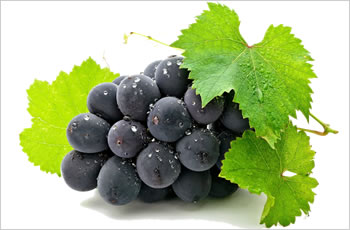Organic fresh grapes, Shelf Life : 3-5days