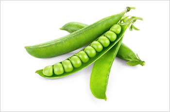 Fresh Peas, Packaging Type : Bulk