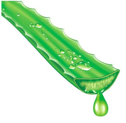 Face Aloe Vera Pulp, for Parlour, Personal, Feature : Good Quality