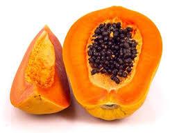 Organic Fresh Papaya Plant, Feature : Fast Growth