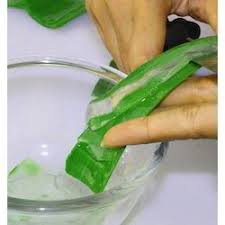 Herbal Aloe Vera Pulp, Feature : Good Quality