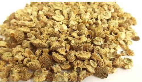 Natural Indian Akarkara Seeds, Shelf Life : 1year