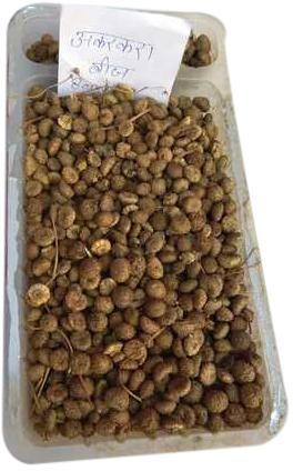 Common Organic Akarkara Seeds, for Cosmetics, Medicines, Purity : 100%