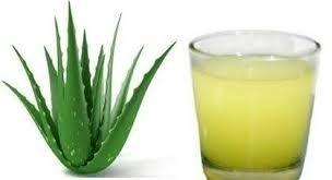 Common Pure Aloe Vera Juice, for Drinking, Feature : Good Quality, Low-Fat