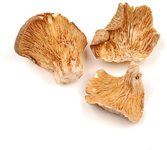 Organic Dried Premium Oyster Mushroom, for Cooking