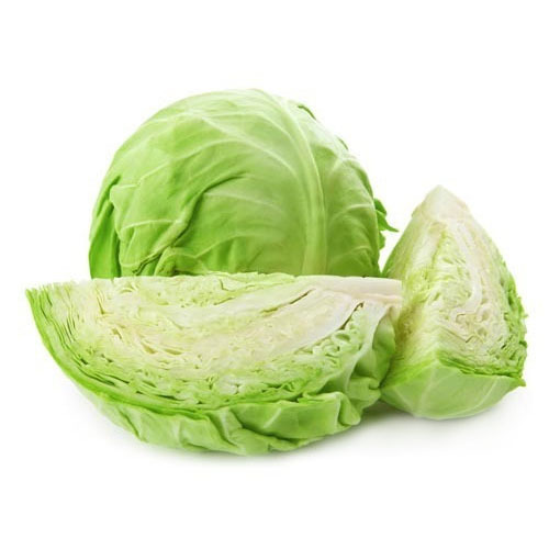 Oval Organic Fresh Cabbage