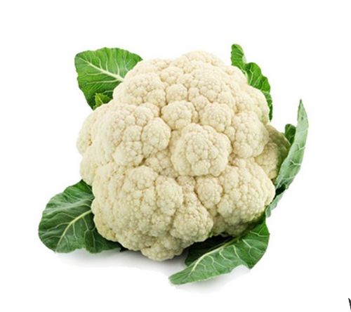 Organic Fresh Cauliflower, Shape : Round