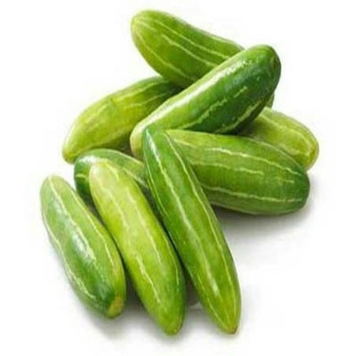 Fresh Cucumber,fresh cucumber, Packaging Type : Carton Box, Plastic Bag