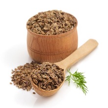 Indian Spices Natural Dill In Best Price