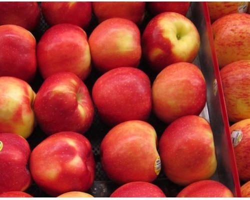 Natural fresh apple, Packaging Size : 10kg, 20kg, etc