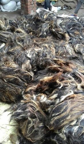 Buffalo Washed Tail Hair